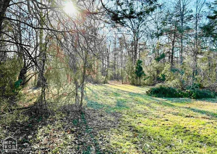 135 Summer Meadows, Mountain View, AR 72560 - #2