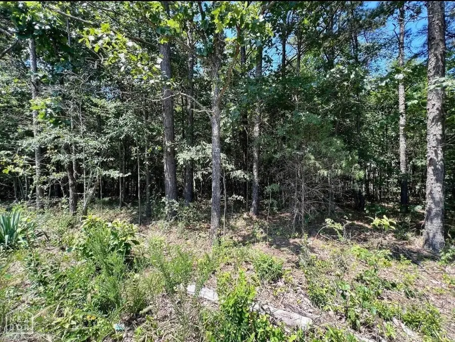 1 Acre- Mountain Home Rd, Paragould, AR 72450 - #2