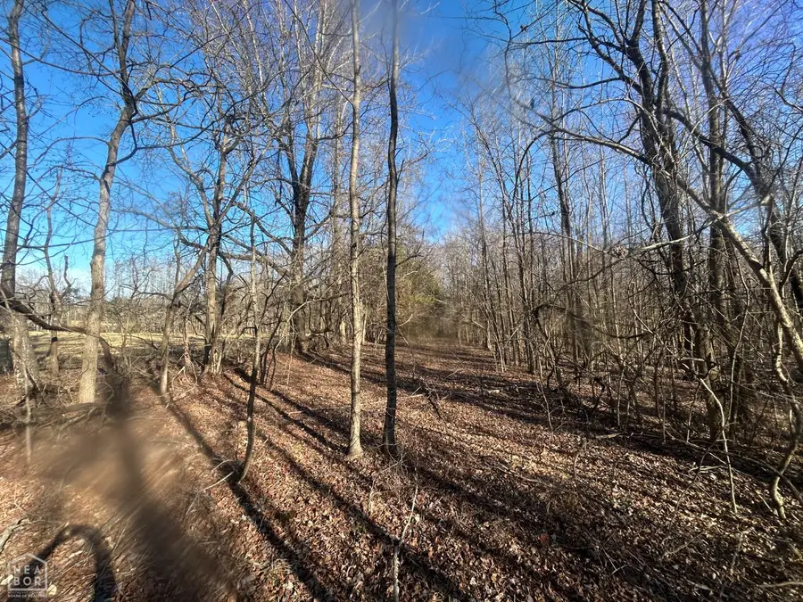 1100 Cr 796, Powell, AR 72405 - #2