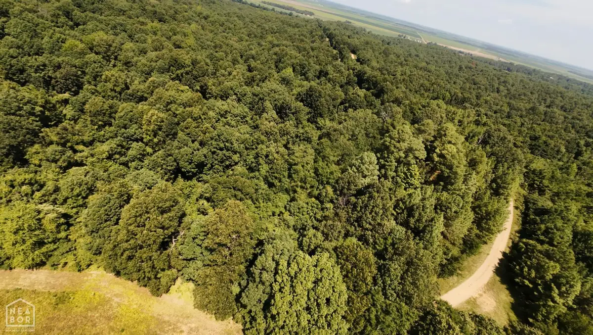 2 Cr 449, Pollard, AR 72456 - #1