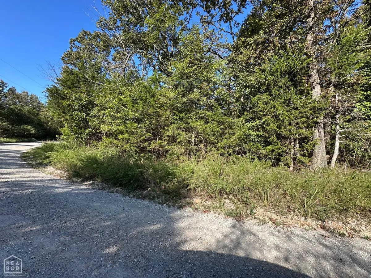 1 Round Mountain Drive, Flippin, AR 72634 - #1