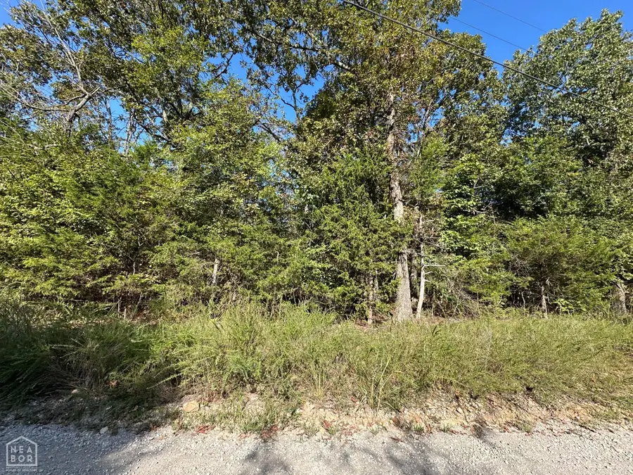 1 Round Mountain Drive, Flippin, AR 72634 - #2