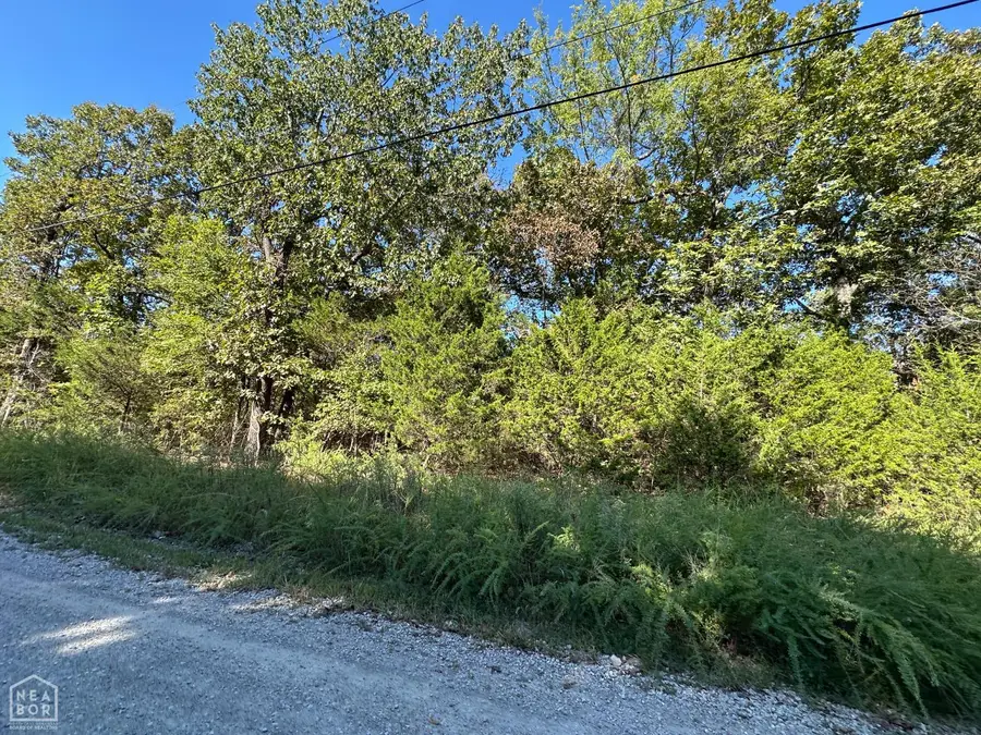 1 Round Mountain Drive, Flippin, AR 72634 - #3