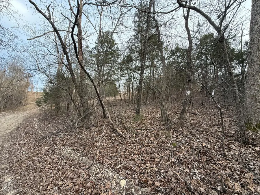 1 Mallard Drive, Diamond City, AR 72630 - #2