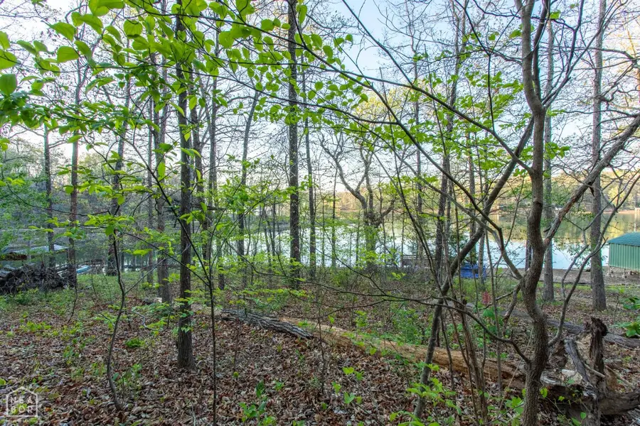 79 Lakeside Drive, Williford, AR 72482 - #3