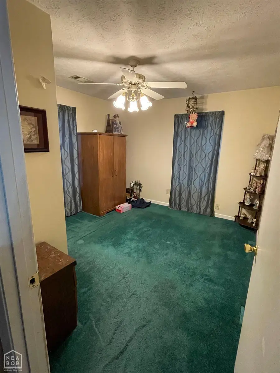316 Buttercup Lane, Manila, AR 72442 - #3