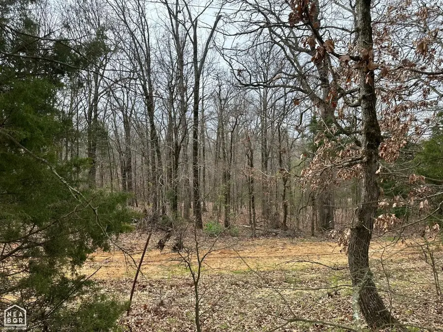 0 Raby Rd #Lot 4, Harrisburg, AR 72432 - #3