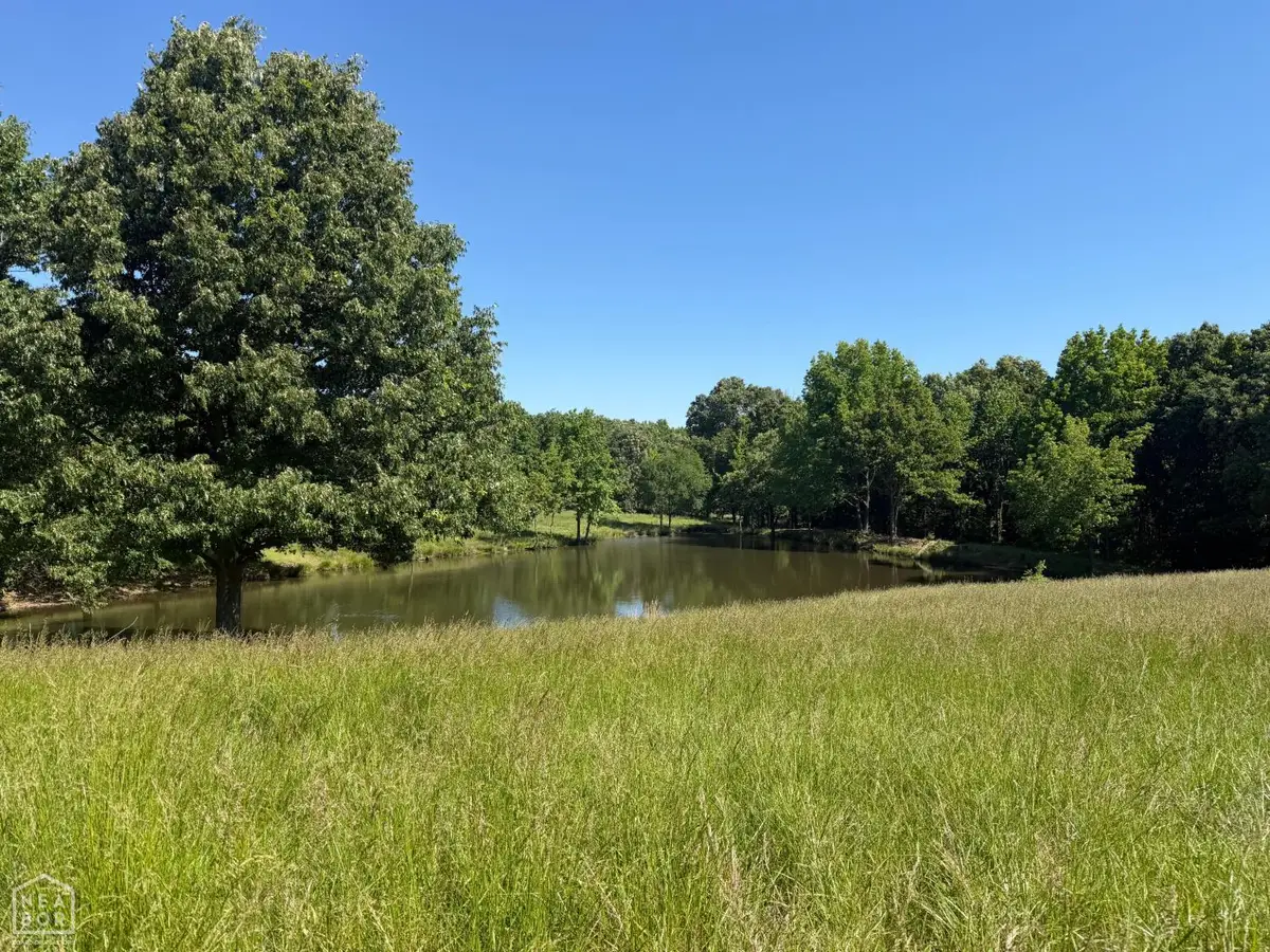 1 Clay 450 Road, Piggott, AR 72454 - #1
