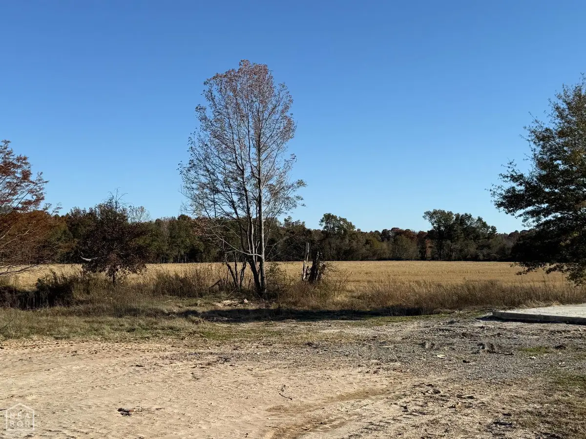 2220 Duck Levee Road, Biggers, AR 72413 - #1