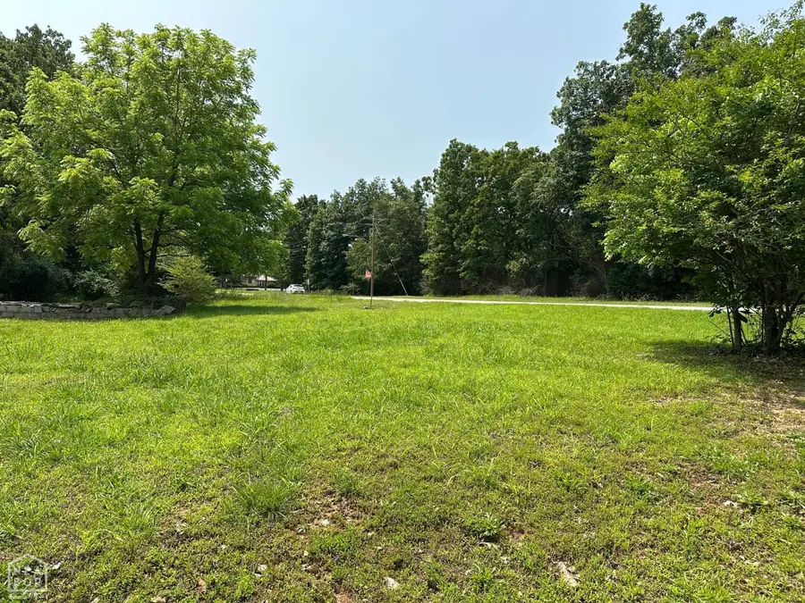 320 Hazelwood Drive, Diamond City, AR 72630 - #2