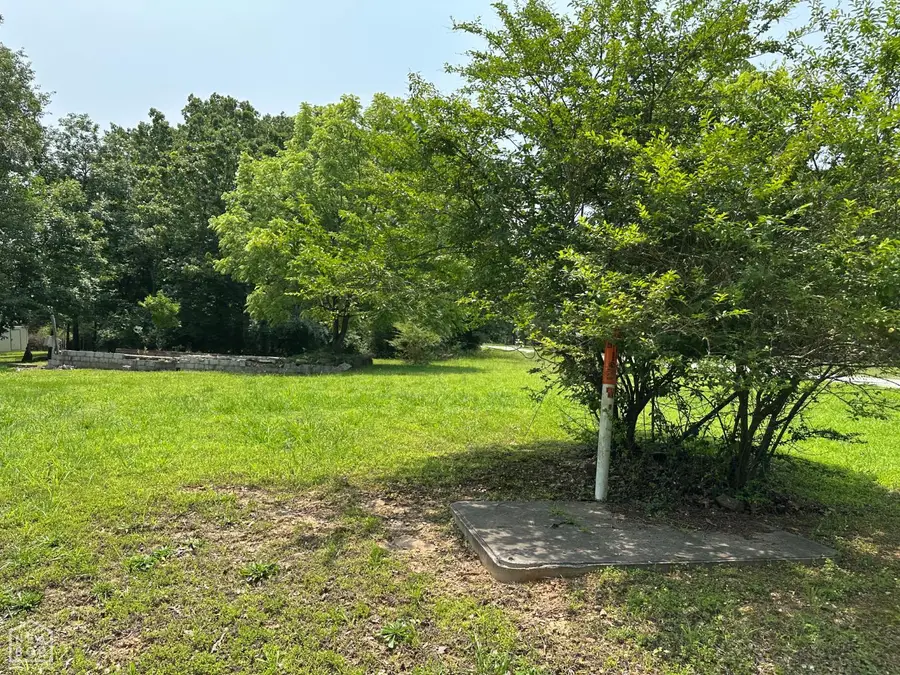 320 Hazelwood Drive, Diamond City, AR 72630 - #3
