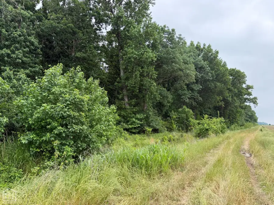 30 Big Creek Watershed, Jonesboro, AR 72404 - #2