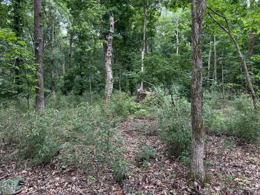30 Big Creek Watershed, Jonesboro, AR 72404 - #3