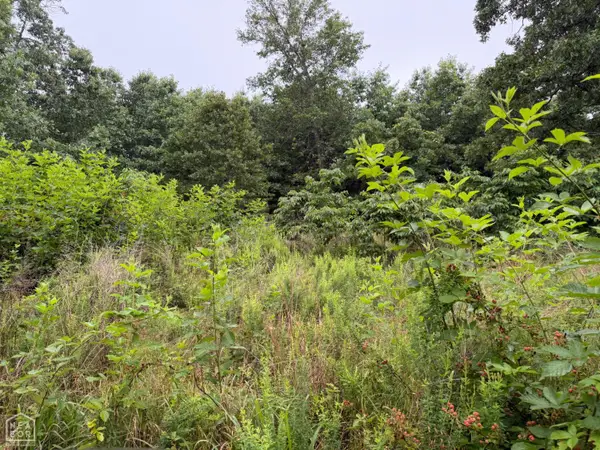 1 Morgan Cave Road, Pyatt, AR 72601