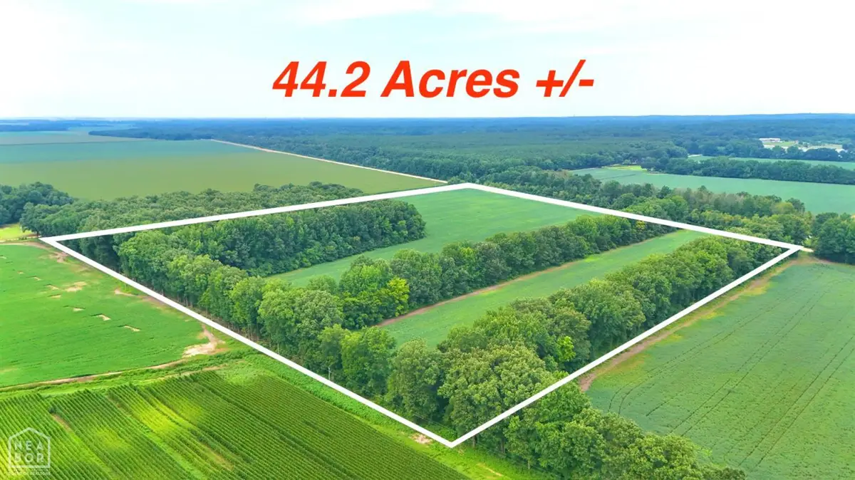 44 Greene 921 Road #2, Paragould, AR 72450 - #1