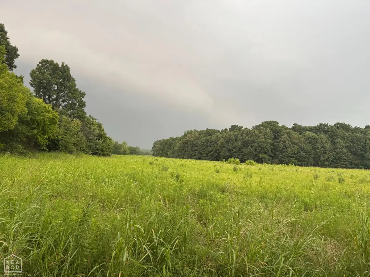0 County Road 352 #000, Piggott, AR 72454 - #1