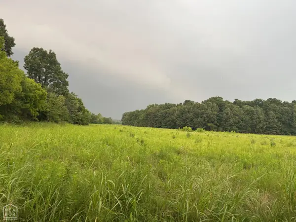 0 County Road 352 #000, Piggott, AR 72454