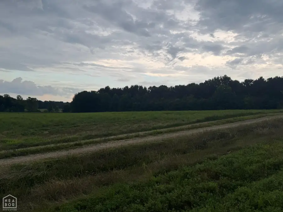 463 Co Rd 352, Piggott, AR 72454 - #2