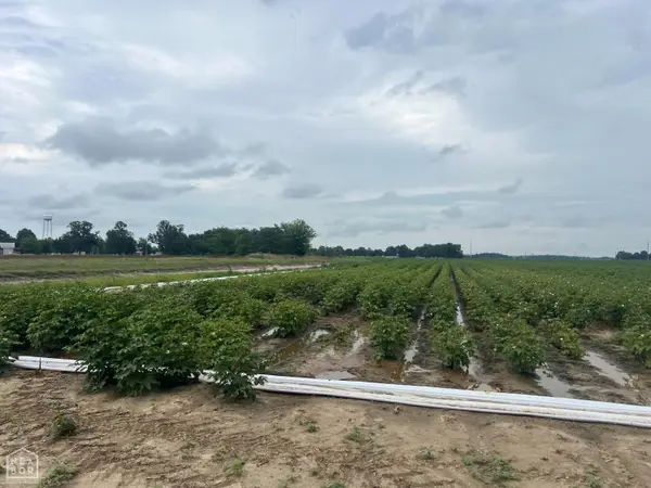 1 Cr 312, McDougal, AR 72441