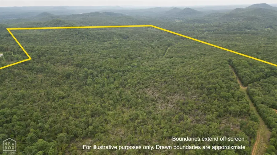 242 Jumbo Rd #Acres, Melbourne, AR 72556 - #2