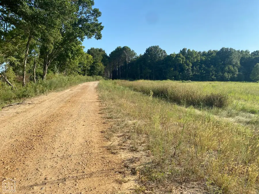 13 Mcguiness, Trumann, AR 72472 - #2