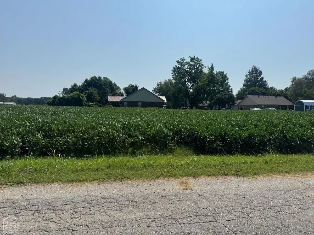 3 Debra Drive, Blytheville, AR 72315 - #1