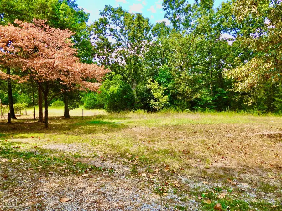 2372 Highway 289 N, Ash Flat, AR 72513 - #3