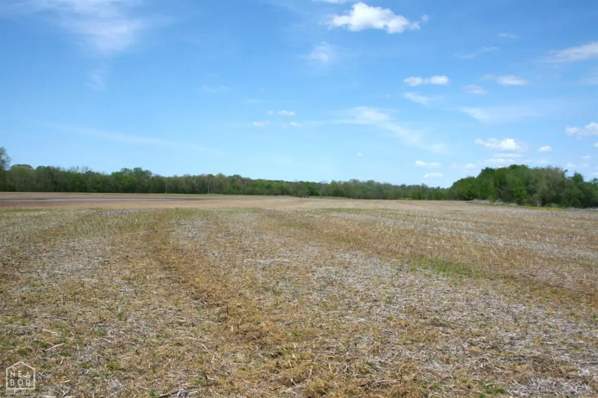 60 Law 216 #Acres, Black Rock, AR 72415 - #1
