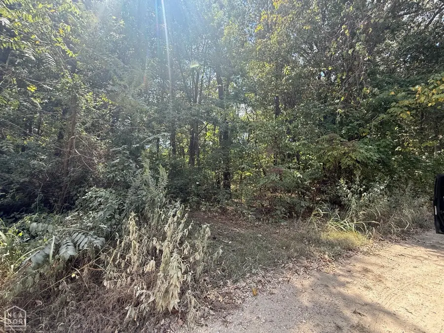 1 Acre County Road 320, Bono, AR 72416 - #2