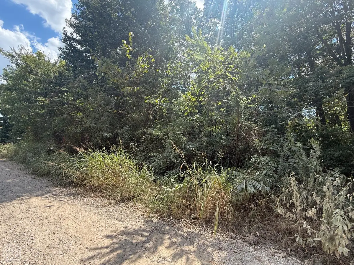 3 County Road 320, Bono, AR 72416 - #1