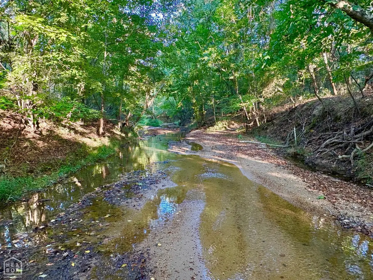 0 Highway 141 #00, Paragould, AR 72450 - #1