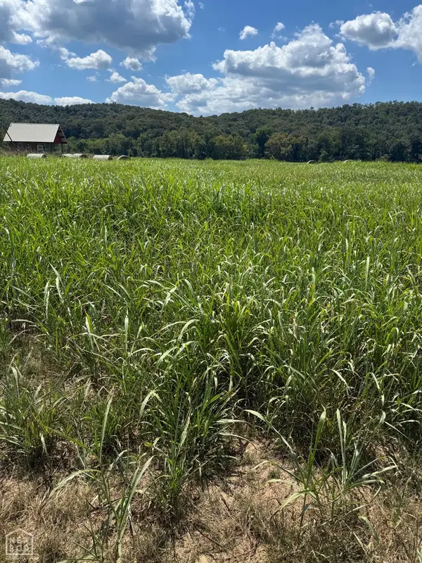 39 White River Run #40, Guion, AR 72540