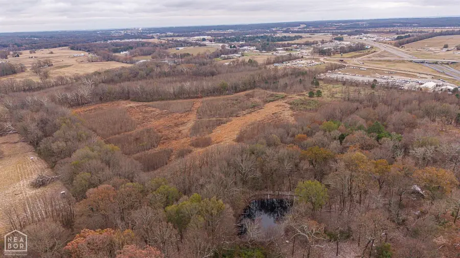 7698 Hwy 63, Bono, AR 72416 - #3