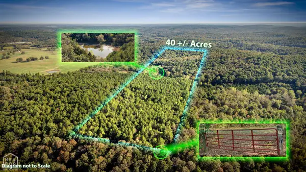 40 Bruce Mitchell Road, Ravenden Spring, AR 72460
