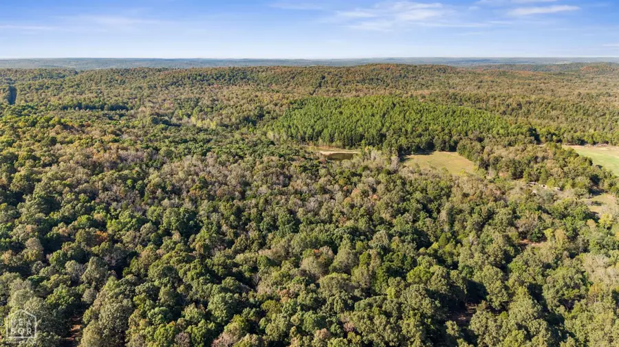 40 Bruce Mitchell Road, Water Valley, AR 72460 - #2