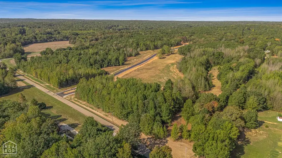 10 Haven Hills Cove, Paragould, AR 72450 - #3