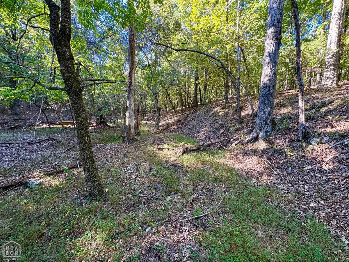 0 Browns Chapel Rd, Viola, AR 72583 - #1