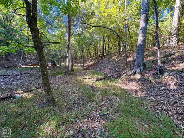 0 Browns Chapel Rd, Viola, AR 72583