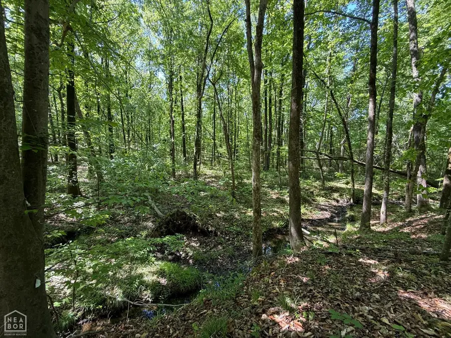 8208 Oak Creek Lane, Harrisburg, AR 72432 - #2