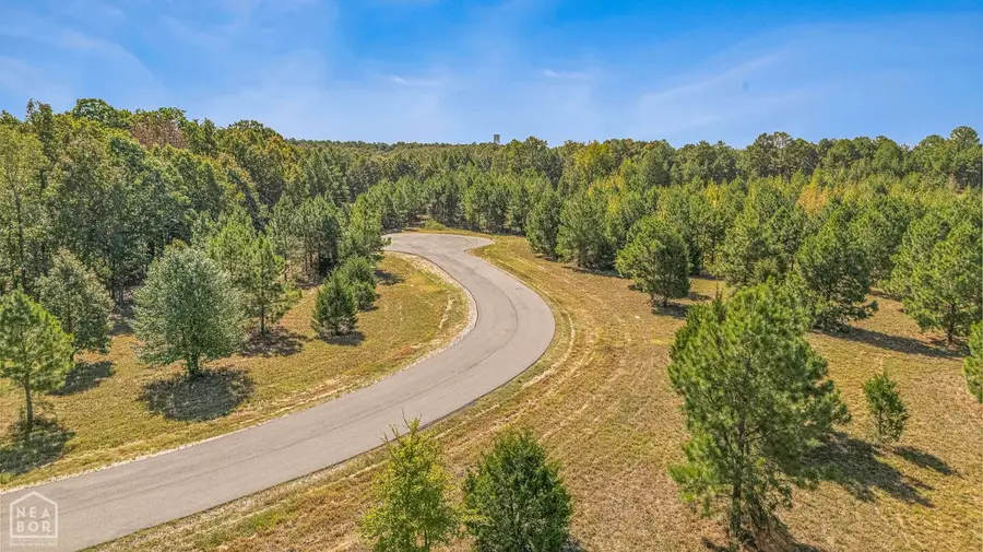 102 Finch Estates Drive, Paragould, AR 72450 - #3