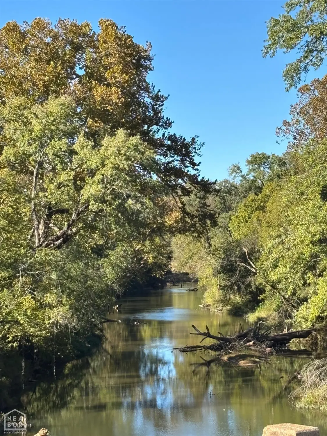 115 Hwy, Smithville, AR 72466 - #1