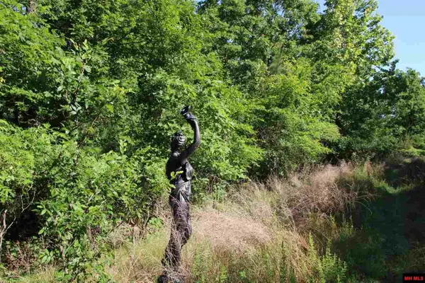 001-07824-000 HWY 14 NORTH, Yellville, AR 72687