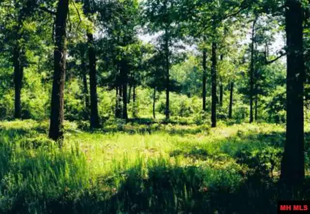 002-11058-011 CR 23, Clarkridge, AR 72623 - Image #3