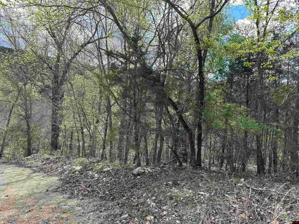 580-00005-016 DOVEWOOD LANE, Flippin, AR 72634