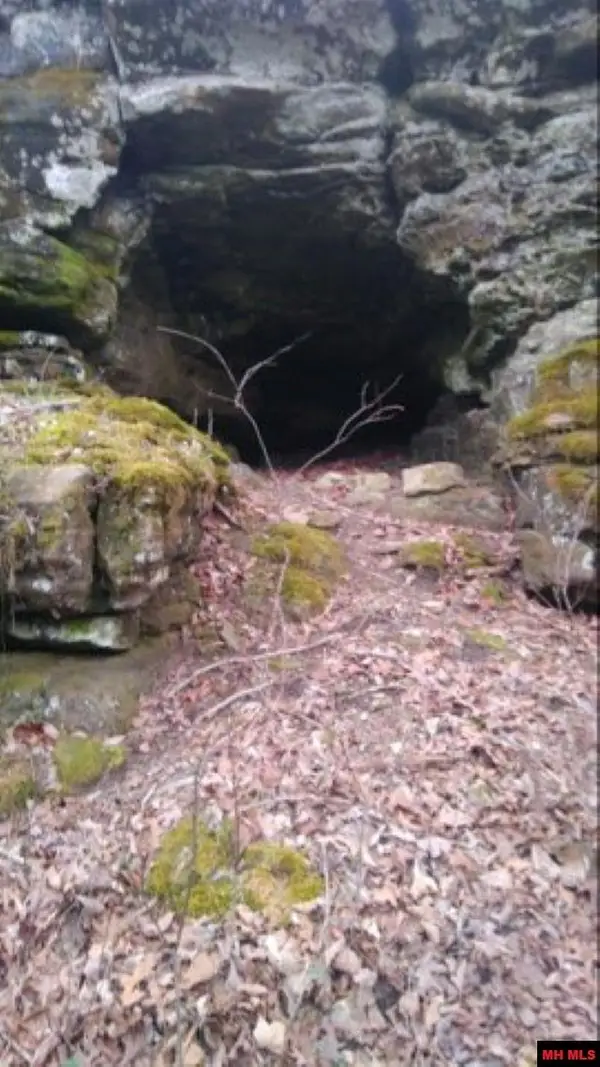 1826 MC 5013, Everton, AR 72633