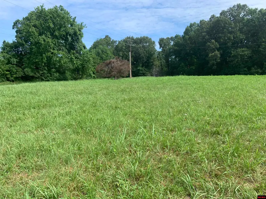 1408 N PANTHER AVENUE, Yellville, AR 72687 - Image #3