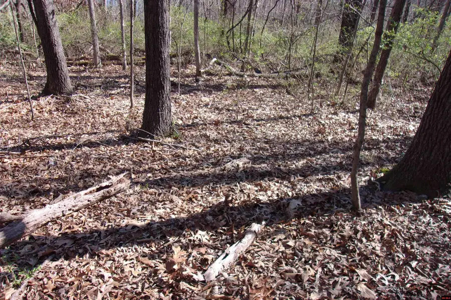 760-19129-000 ALFORD DRIVE, Bull Shoals, AR 72619 - Image #3