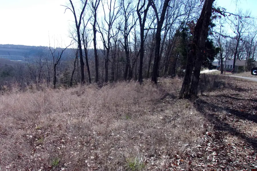 Lot 15 COUNTRY CLUB DRIVE, Bull Shoals, AR 72619 - Image #2