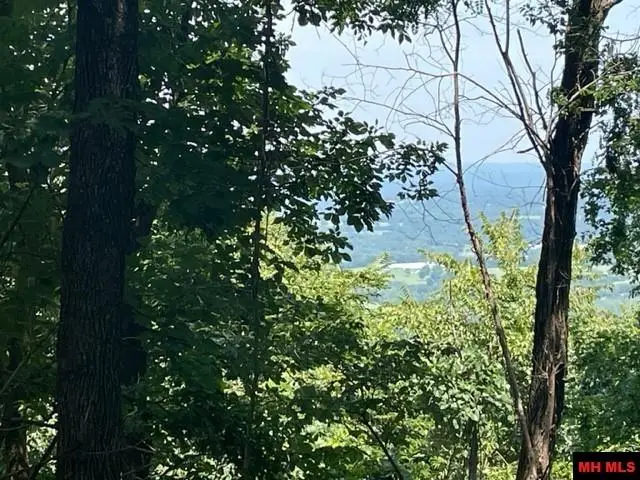 3721 THOUSAND OAKS DRIVE, Yellville, AR 72687 - #2