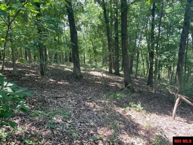 3721 THOUSAND OAKS DRIVE, Yellville, AR 72687 - #3